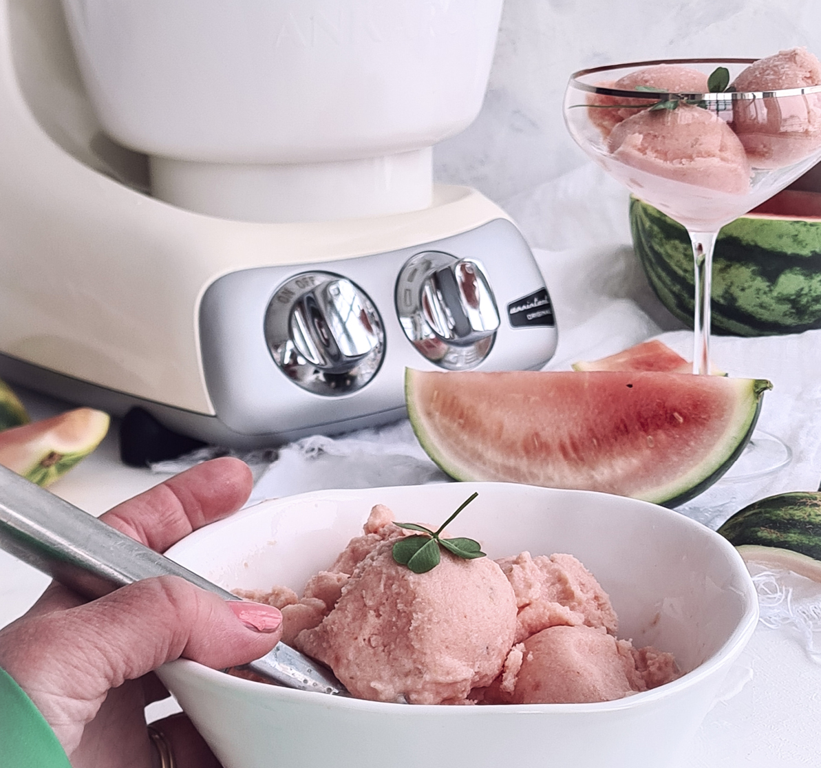 Freezer bowl ice cream - Ankarsrum Global